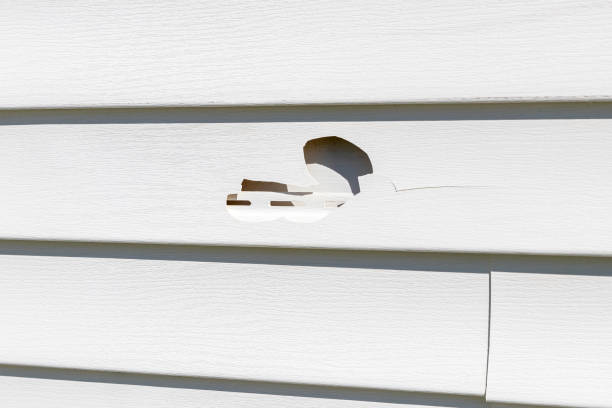 Best Custom Trim and Detailing for Siding  in Millbrae, CA