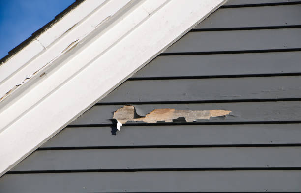 Best Steel Siding Installation  in Millbrae, CA